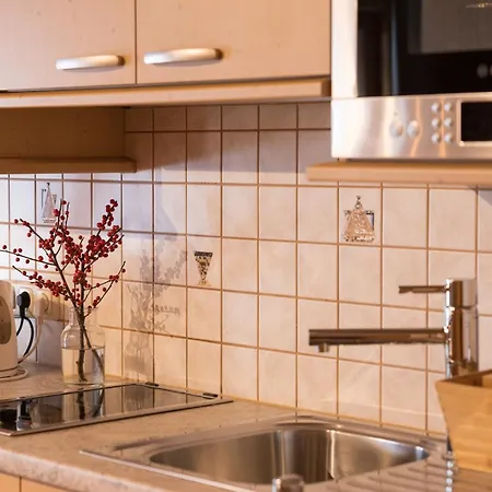 بيت ريفي Almgasthof Windischgraetz باد جاستاين